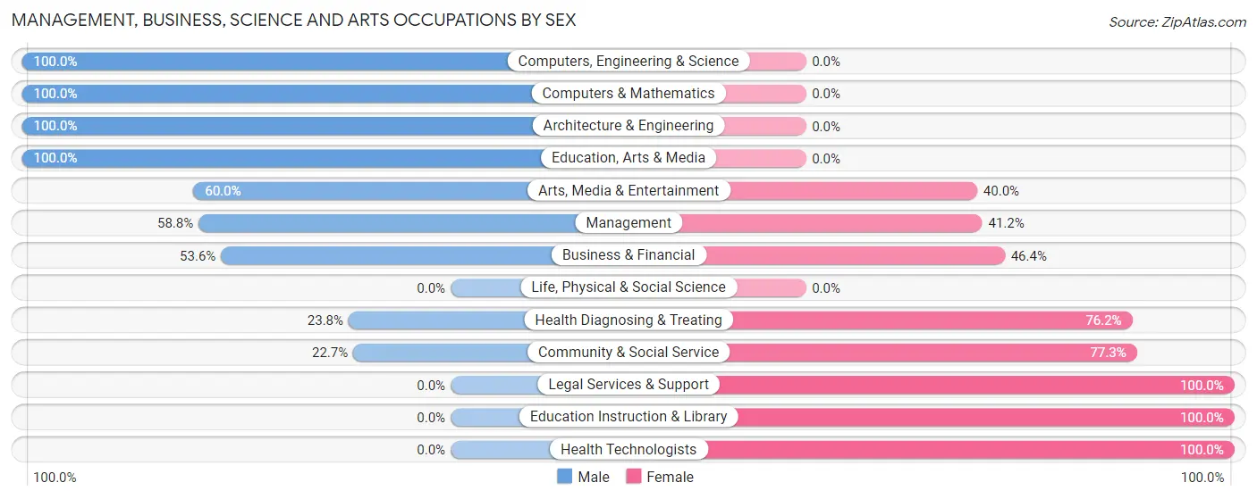 Management, Business, Science and Arts Occupations by Sex in New Germany