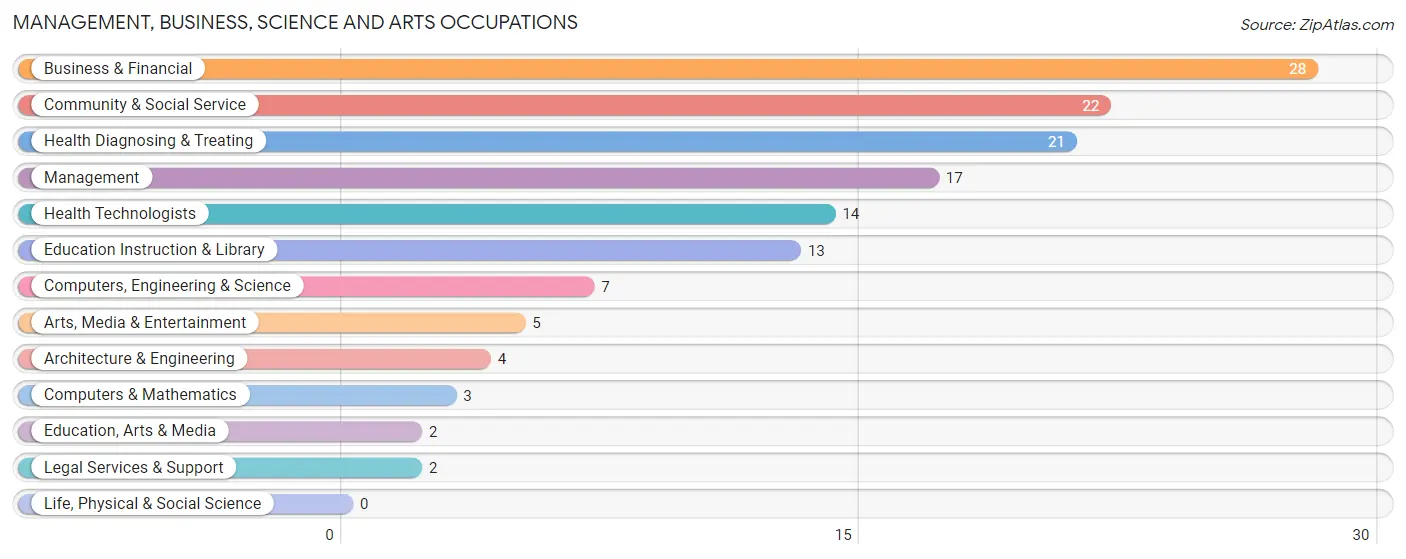 Management, Business, Science and Arts Occupations in New Germany