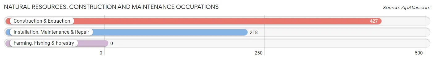 Natural Resources, Construction and Maintenance Occupations in New Hope