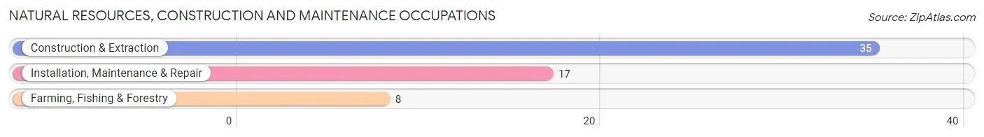 Natural Resources, Construction and Maintenance Occupations in New London