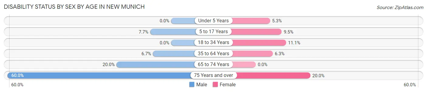 Disability Status by Sex by Age in New Munich