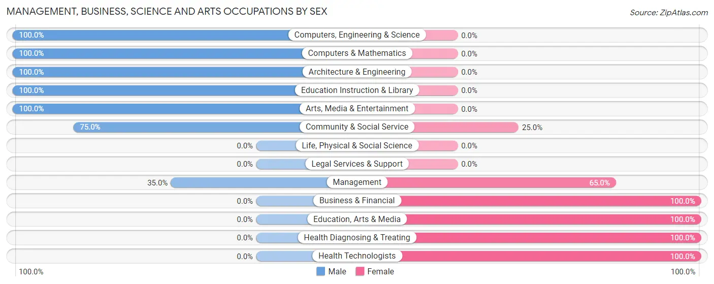 Management, Business, Science and Arts Occupations by Sex in New Munich
