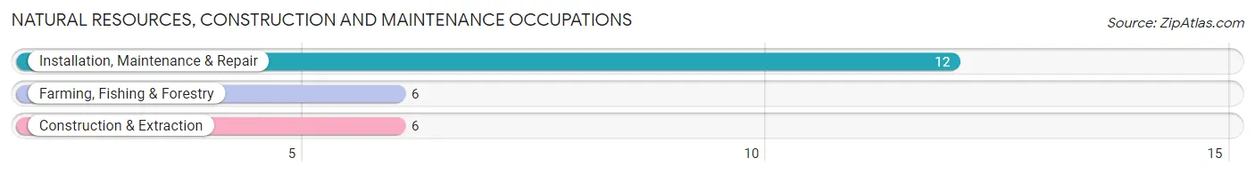 Natural Resources, Construction and Maintenance Occupations in New Munich