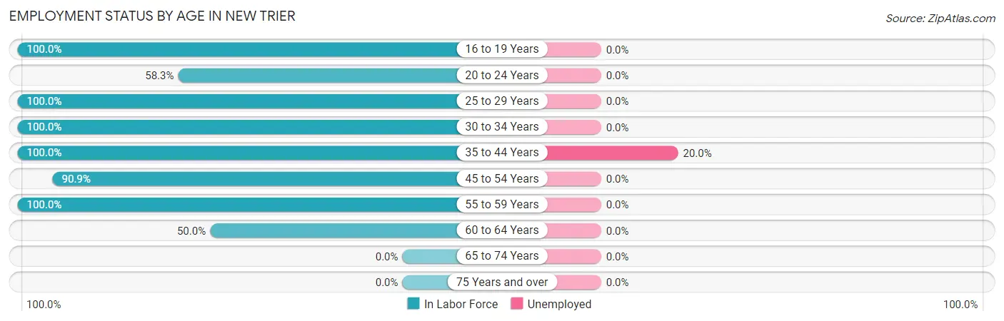 Employment Status by Age in New Trier