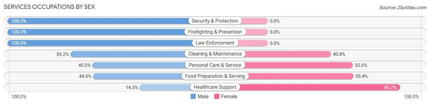 Services Occupations by Sex in New Ulm