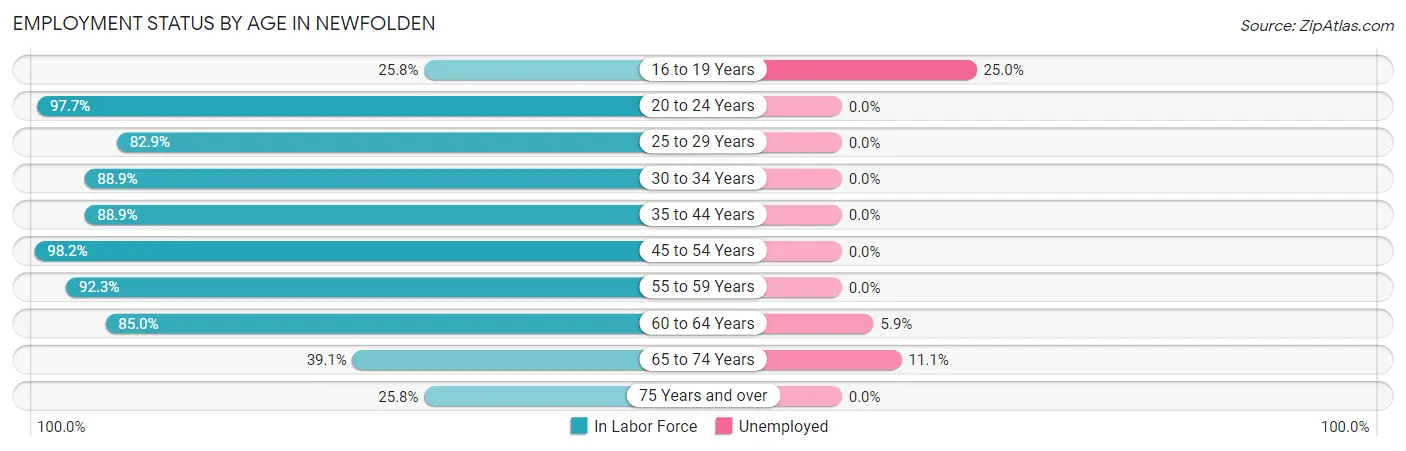 Employment Status by Age in Newfolden