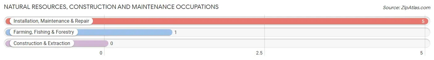 Natural Resources, Construction and Maintenance Occupations in Nielsville