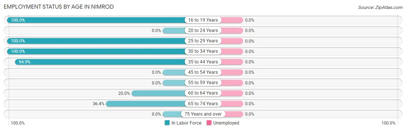 Employment Status by Age in Nimrod