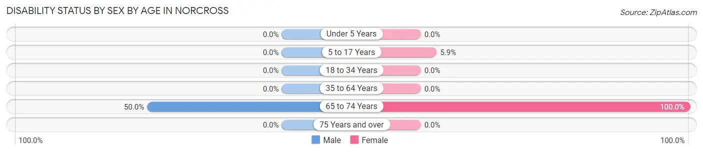 Disability Status by Sex by Age in Norcross
