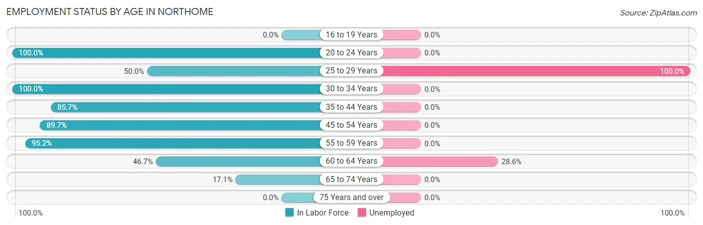 Employment Status by Age in Northome