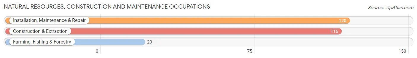 Natural Resources, Construction and Maintenance Occupations in Nowthen