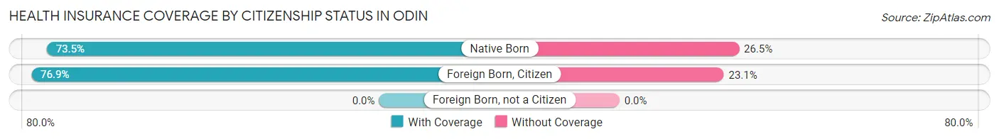 Health Insurance Coverage by Citizenship Status in Odin