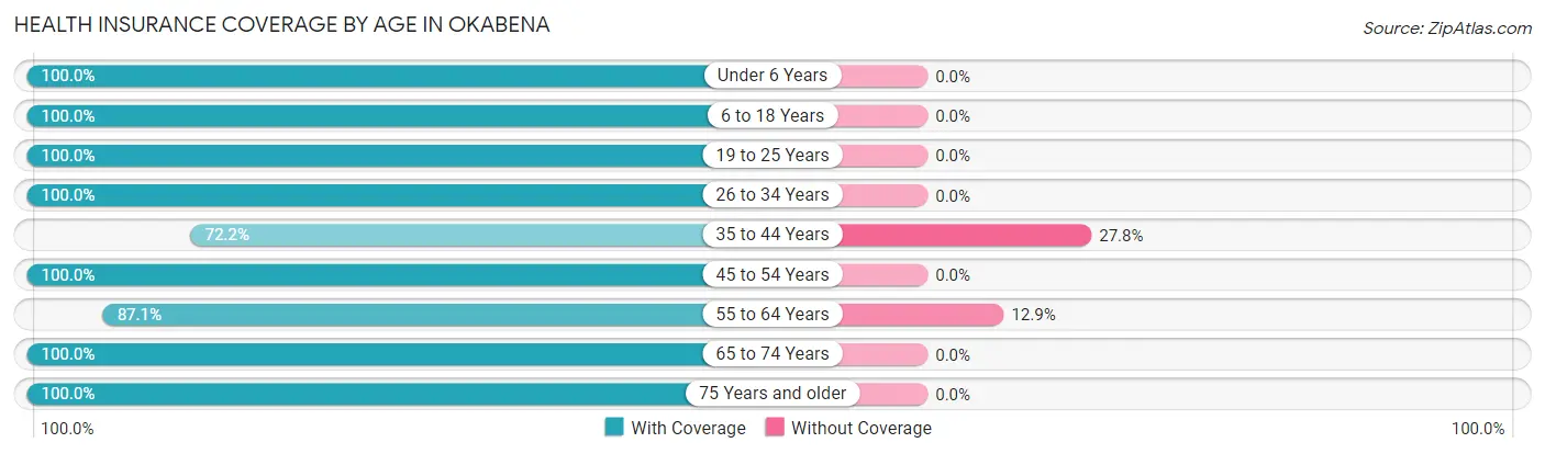Health Insurance Coverage by Age in Okabena