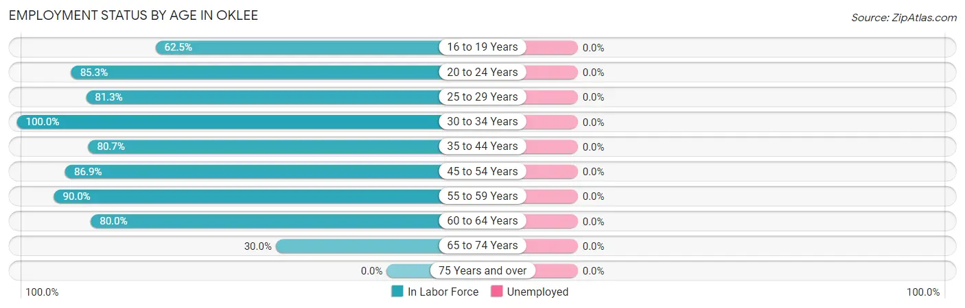 Employment Status by Age in Oklee