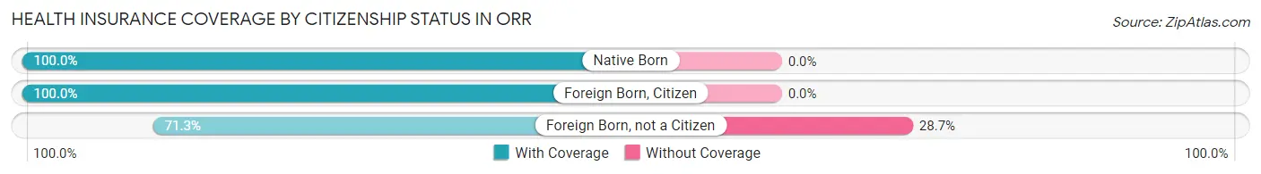 Health Insurance Coverage by Citizenship Status in Orr