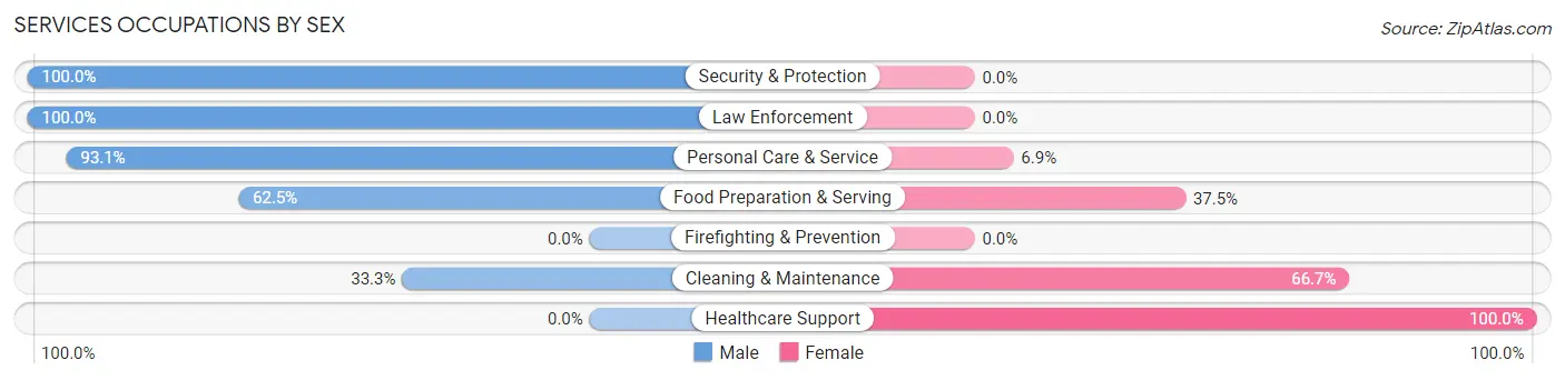 Services Occupations by Sex in Orr