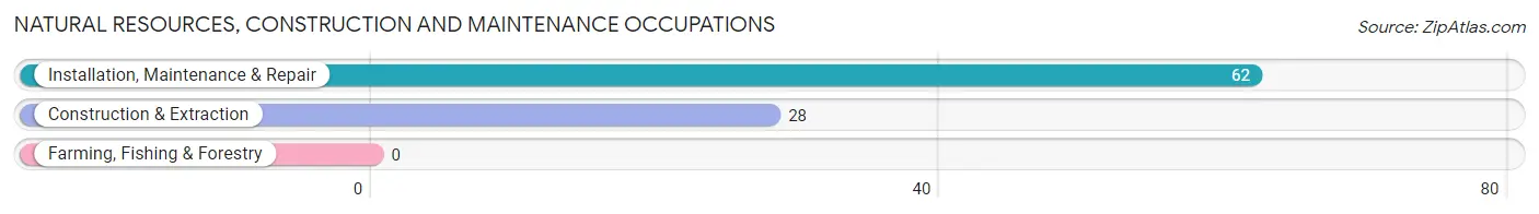 Natural Resources, Construction and Maintenance Occupations in Osseo