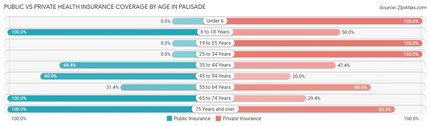 Public vs Private Health Insurance Coverage by Age in Palisade