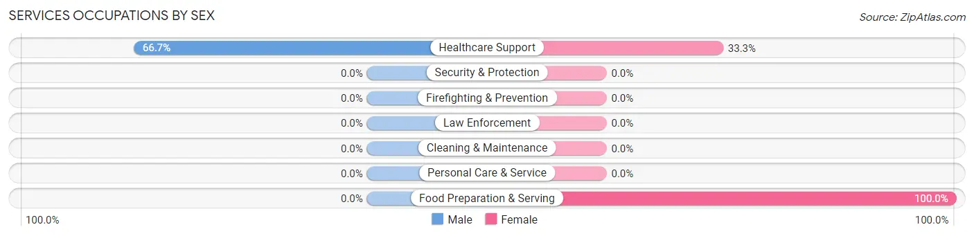 Services Occupations by Sex in Palisade