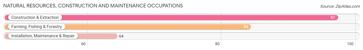 Natural Resources, Construction and Maintenance Occupations in Park Rapids