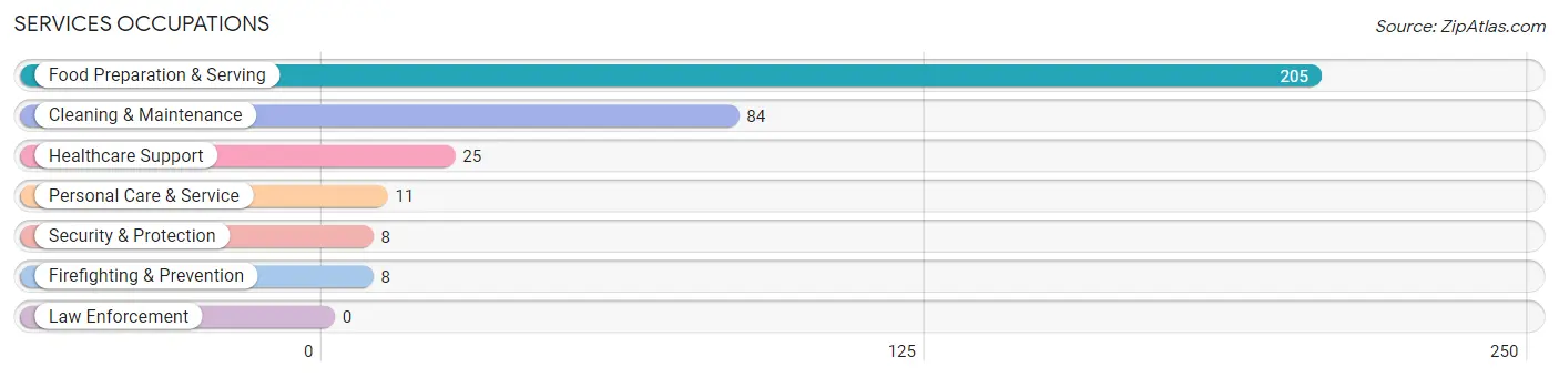 Services Occupations in Park Rapids