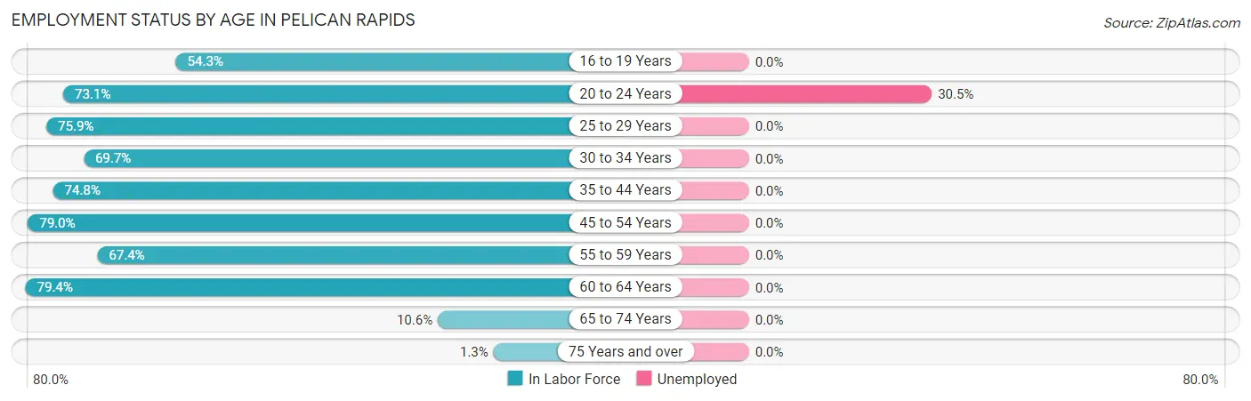 Employment Status by Age in Pelican Rapids