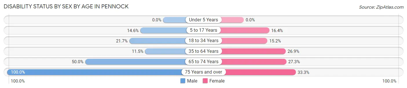 Disability Status by Sex by Age in Pennock