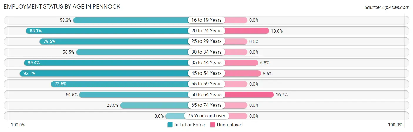 Employment Status by Age in Pennock