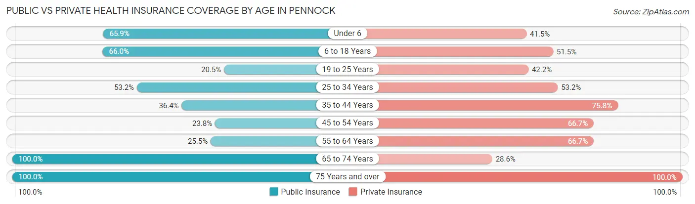Public vs Private Health Insurance Coverage by Age in Pennock