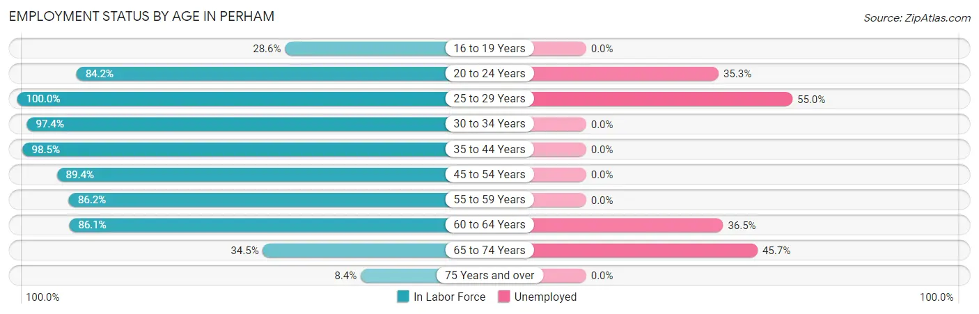Employment Status by Age in Perham