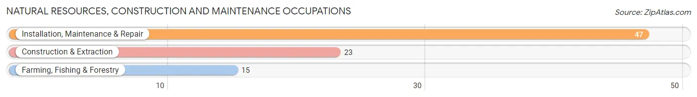 Natural Resources, Construction and Maintenance Occupations in Perham