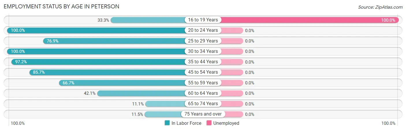 Employment Status by Age in Peterson