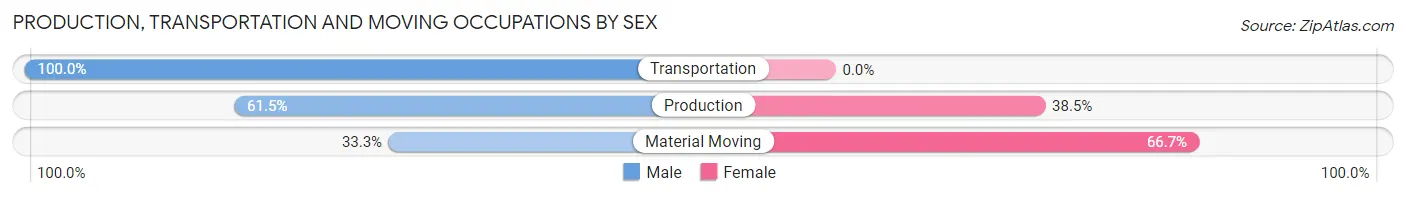 Production, Transportation and Moving Occupations by Sex in Peterson