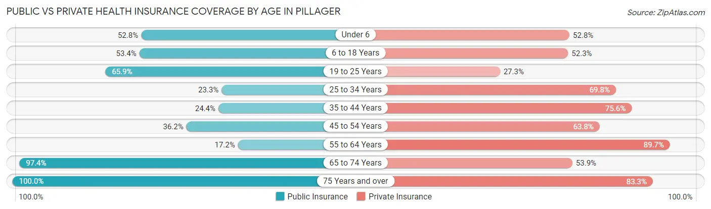 Public vs Private Health Insurance Coverage by Age in Pillager