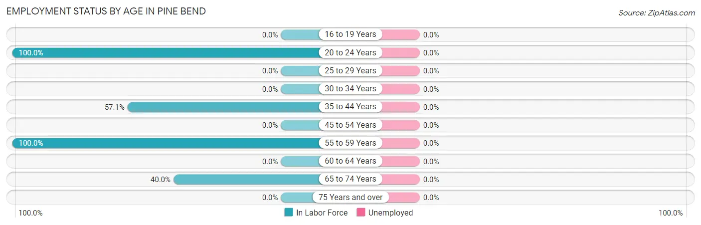Employment Status by Age in Pine Bend