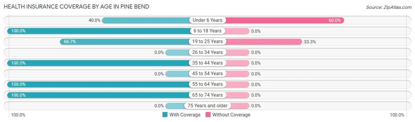 Health Insurance Coverage by Age in Pine Bend