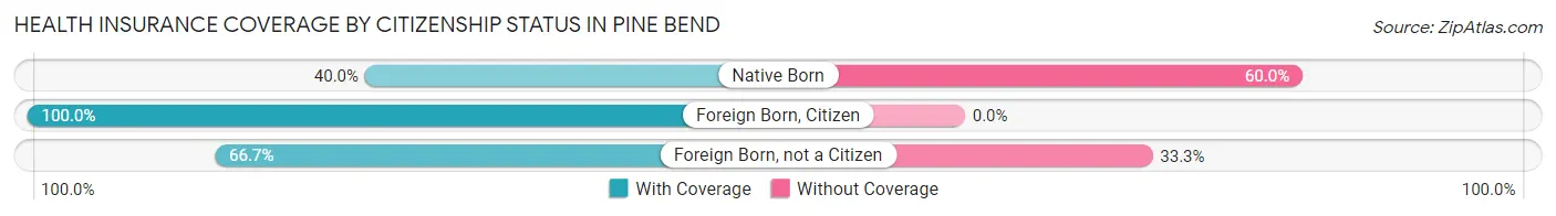 Health Insurance Coverage by Citizenship Status in Pine Bend