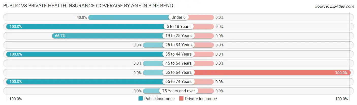 Public vs Private Health Insurance Coverage by Age in Pine Bend