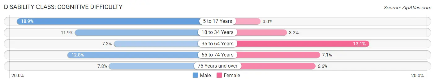 Disability in Pine City: <span>Cognitive Difficulty</span>