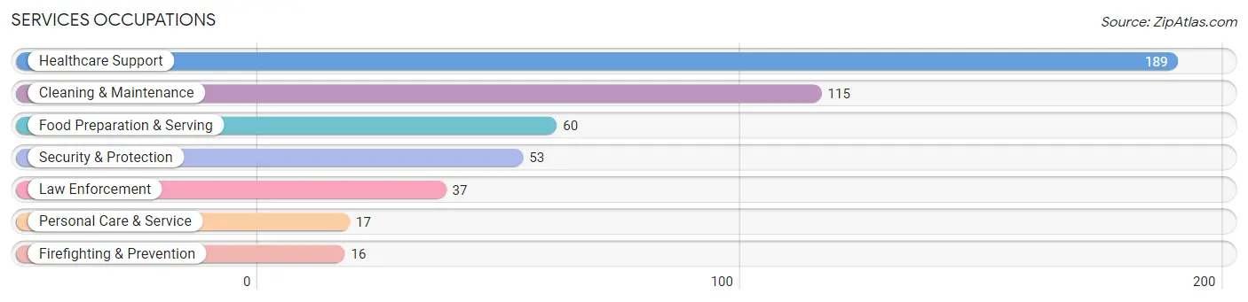 Services Occupations in Pine City