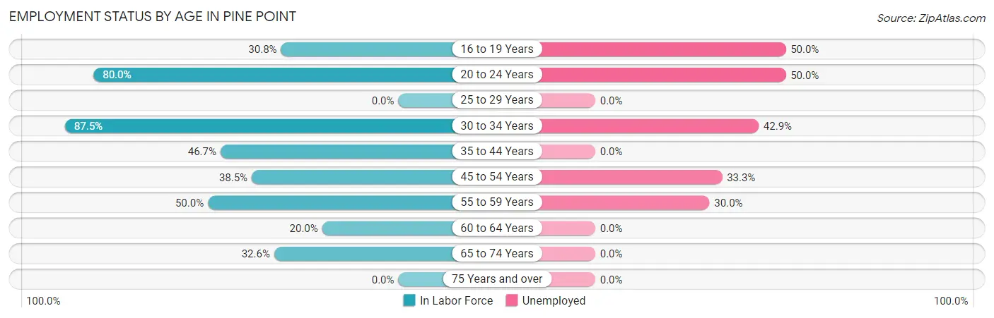 Employment Status by Age in Pine Point