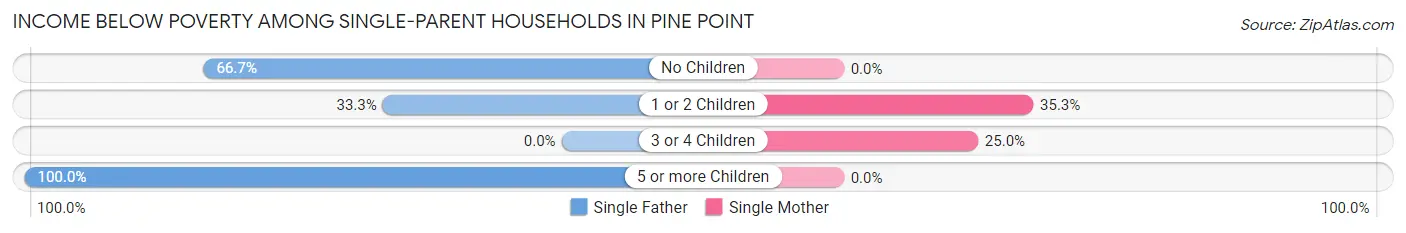 Income Below Poverty Among Single-Parent Households in Pine Point