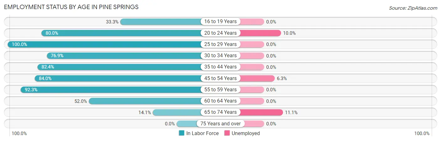 Employment Status by Age in Pine Springs