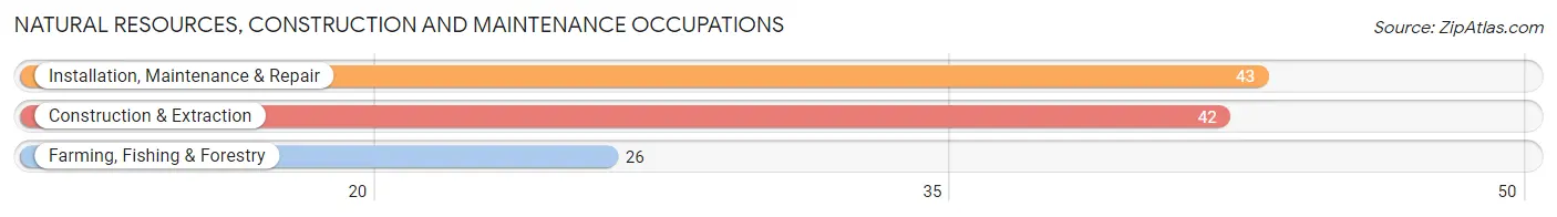 Natural Resources, Construction and Maintenance Occupations in Plainview