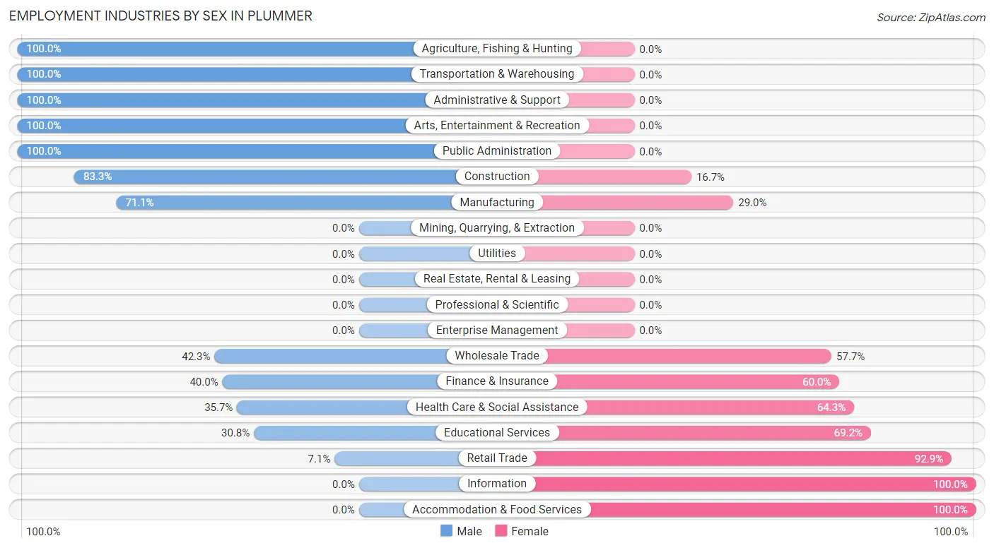 Employment Industries by Sex in Plummer