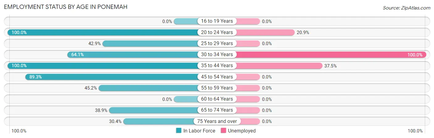 Employment Status by Age in Ponemah