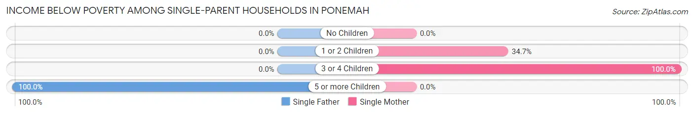 Income Below Poverty Among Single-Parent Households in Ponemah