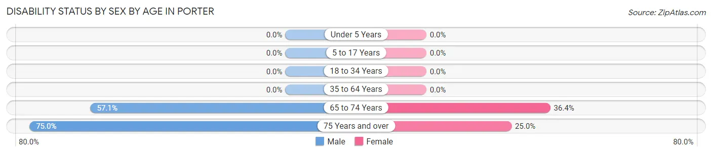 Disability Status by Sex by Age in Porter