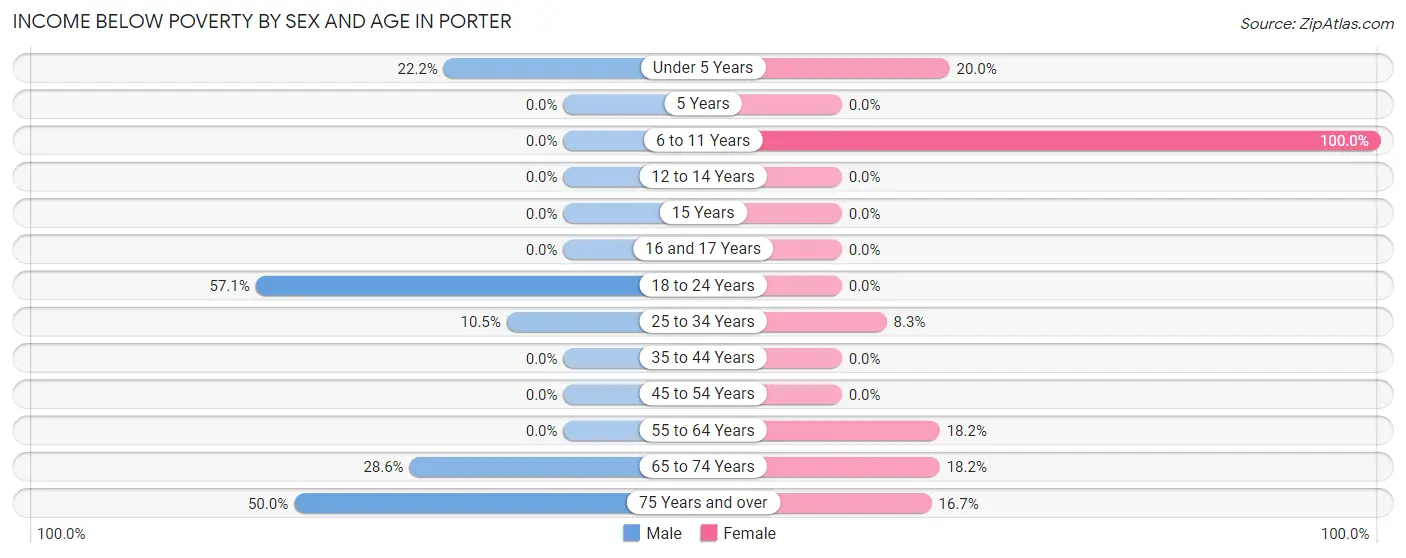 Income Below Poverty by Sex and Age in Porter