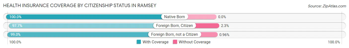Health Insurance Coverage by Citizenship Status in Ramsey